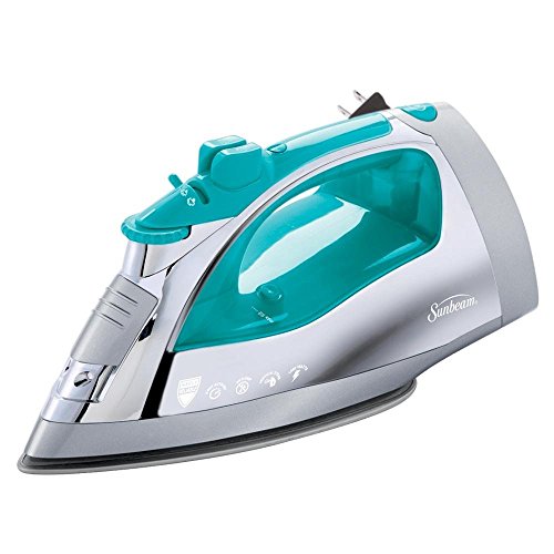 Top 11 Steam Irons in 2019