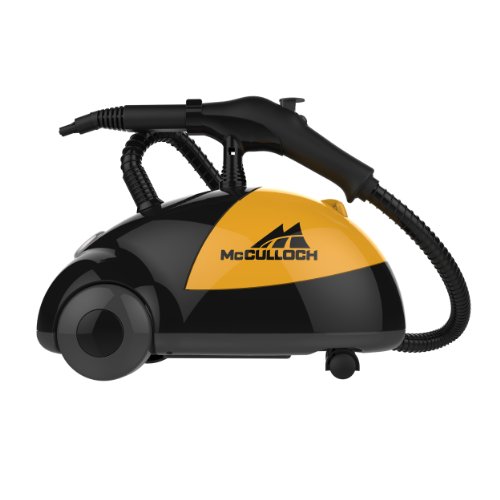 best steam cleaners