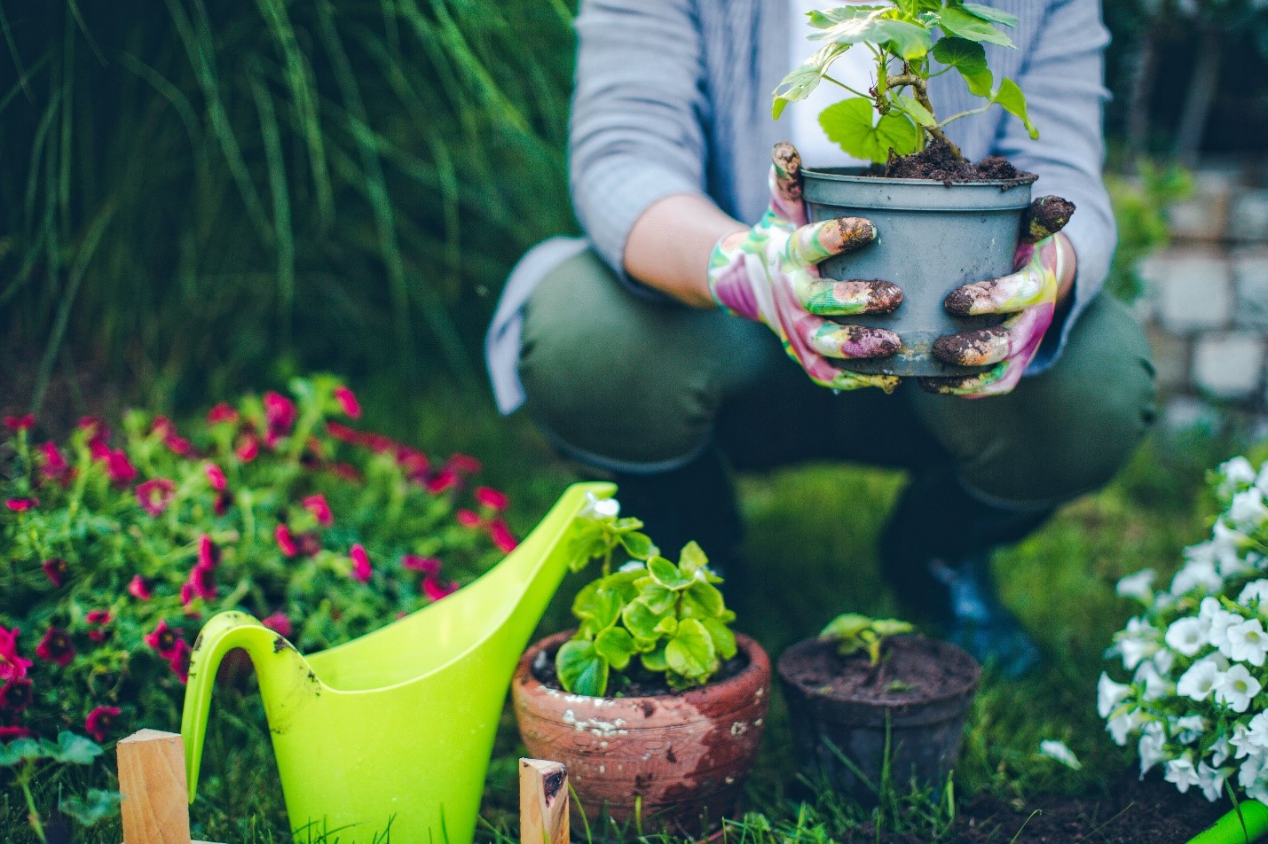 7 Vegetable Gardening Tips Every Gardener Needs To Know