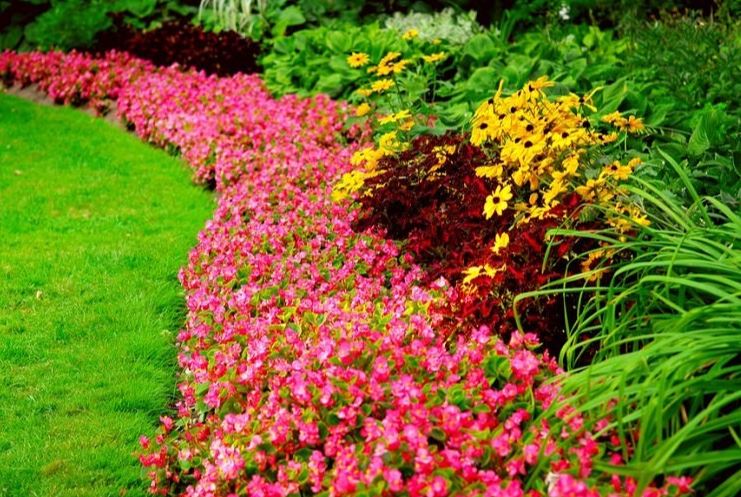 How to Keep Your Flower Garden Healthy